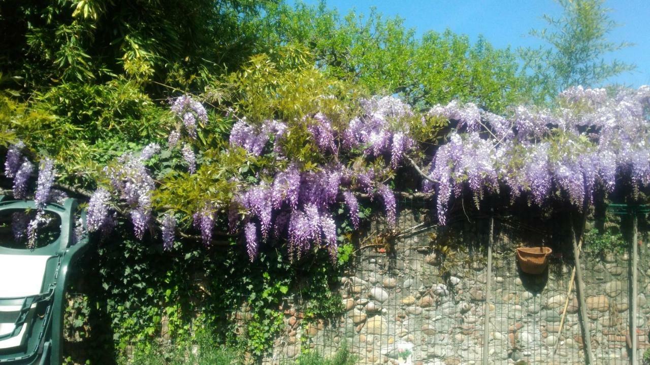 Casavacanzaicolli Villa Pescantina Bagian luar foto